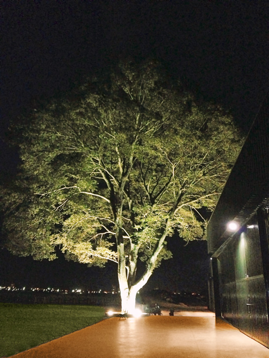 Aeroporto de São Joaquim da Barra sediou evento automobilístico